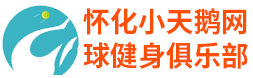 怀化小天鹅网球俱乐部-怀化小天鹅网球俱乐部-怀化小天鹅网球俱乐部